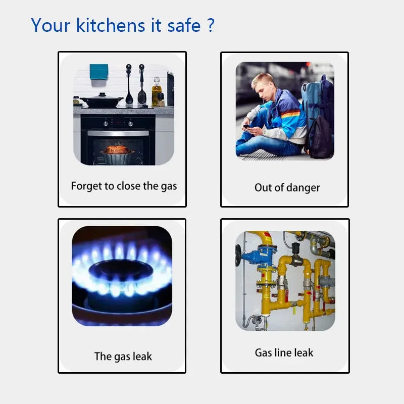433MHz Smart Gas Home Security 80dB Leak Detector Natural Gas Sensor Carbon Monoxide Poisoning Alarm Detector