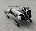 Human-Computer Interaction Quadruped High Technology Robot Dog with Wheels