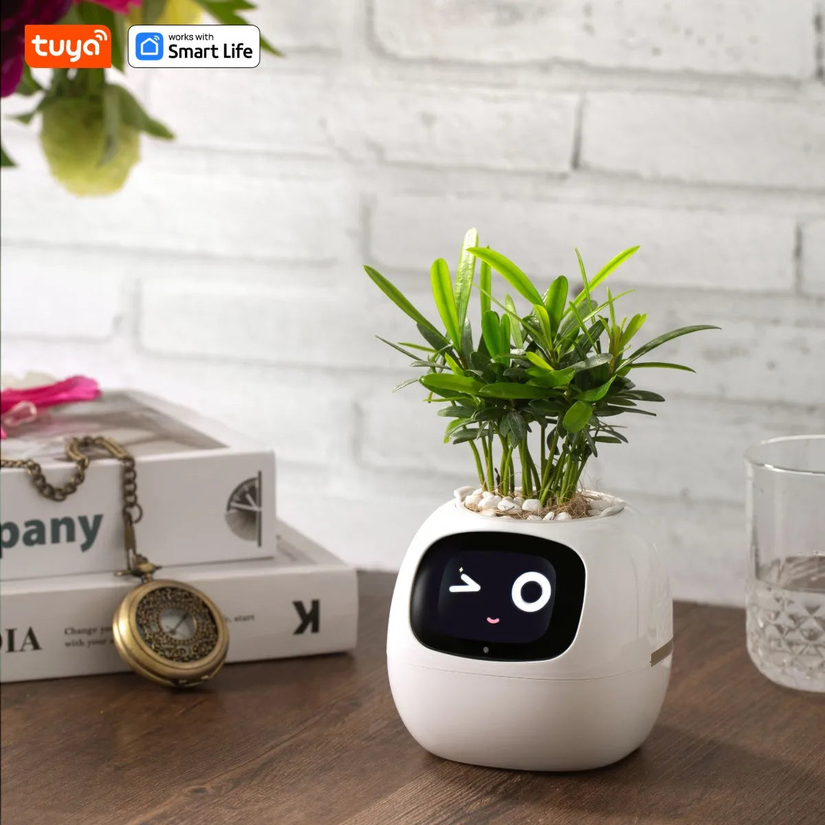 Gen1 Tuya Ivy Plant Care, Made Effortless, AI Plant Faces - See Feelings, Fix Needs 5 Interactive Gestures Unlock a Playful Life