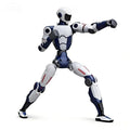 Humanoid Robot Open Verdion for Research, Education and Entertainment